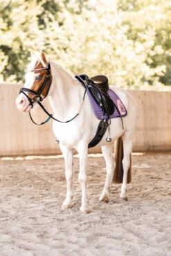 Horze Magic Carousel Vielseitigkeitsschabracke Für Ponys 13 Horze Magic Carousel Vielseitigkeitsschabracke Für Ponys -Weatherbeeta Shop 17461 433 06