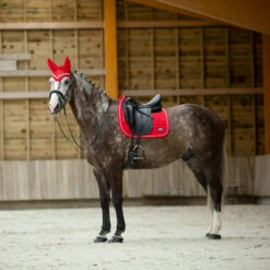 B Vertigo Raxus Fliegenhaube -Weatherbeeta Shop 22862 LPPI 4