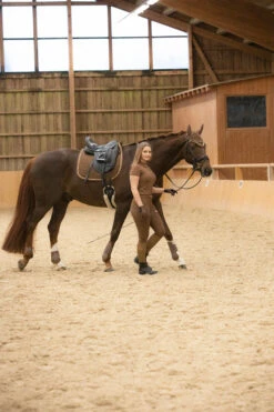 Horze Glarus Fliegenhaube Mit Metallischem Flechtdetail -Weatherbeeta Shop 22917 bdbr 04