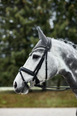 Horze Adepto Fliegenhaube 30 Horze Adepto Fliegenhaube -Weatherbeeta Shop 22923 sg 04