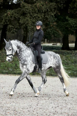 Horze Adepto Fliegenhaube 31 Horze Adepto Fliegenhaube -Weatherbeeta Shop 22923 sg 05