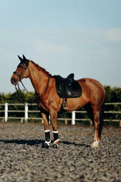 B Vertigo Drew Fliegenhaube -Weatherbeeta Shop 22931 BL 4