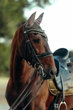 B Vertigo Drew Fliegenhaube -Weatherbeeta Shop 22931 UBBR 3