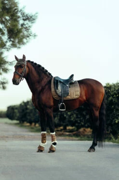 B Vertigo Drew Fliegenhaube -Weatherbeeta Shop 22931 UBBR 4