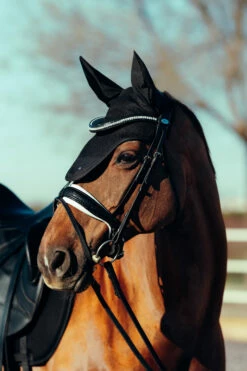 Horze Phoenix Fliegenhaube 20 Horze Phoenix Fliegenhaube -Weatherbeeta Shop 22933 BL 3