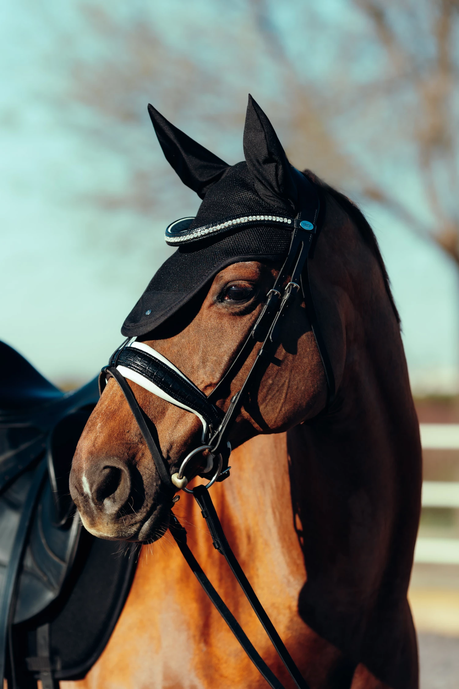 Horze Phoenix Fliegenhaube 8 Horze Phoenix Fliegenhaube – Bild 6