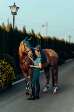 Horze Phoenix Fliegenhaube 23 Horze Phoenix Fliegenhaube -Weatherbeeta Shop 22933 STGR 3