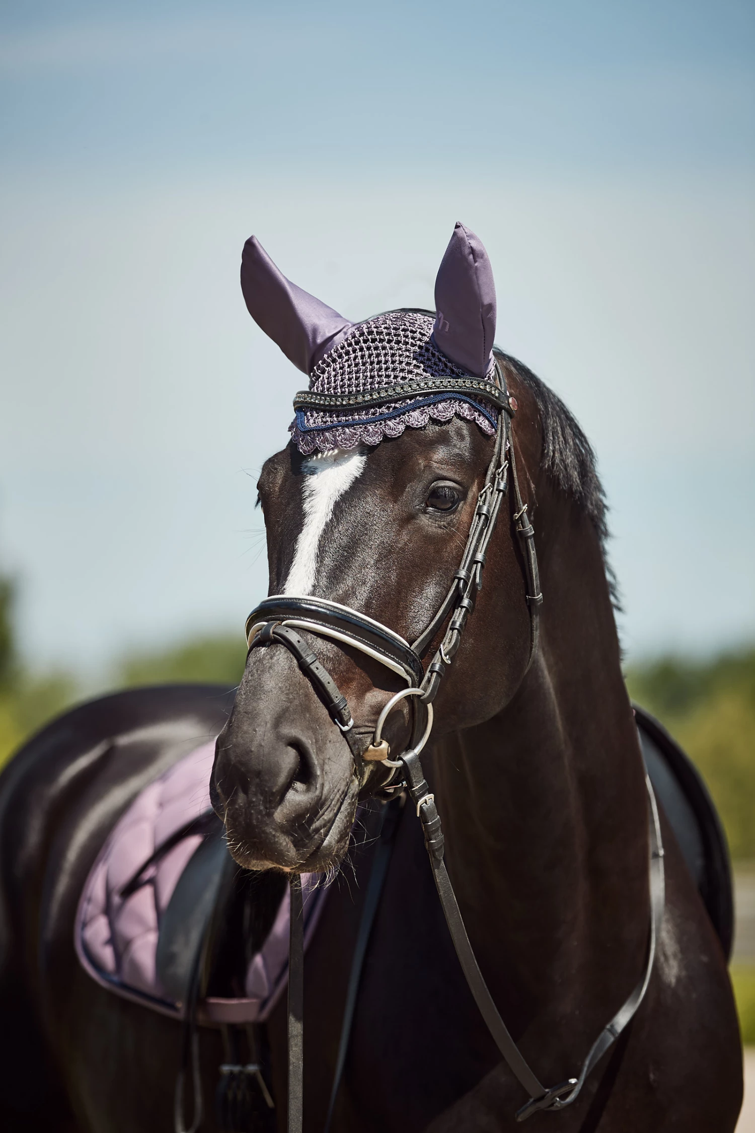 Horze Ghent Fliegenhaube 8 Horze Ghent Fliegenhaube – Bild 6