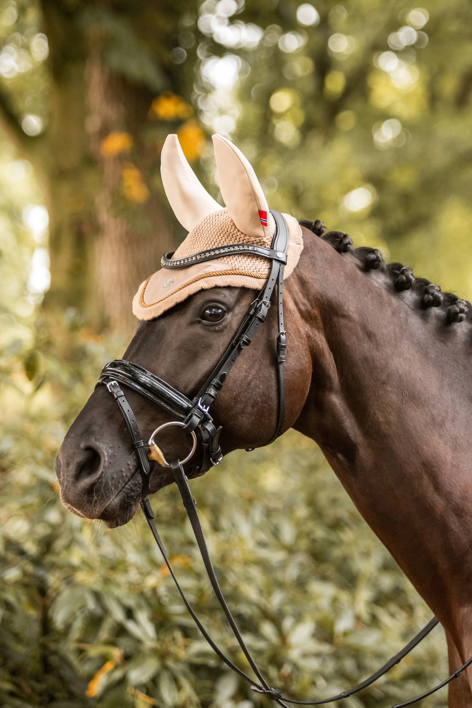 B Vertigo Quinn Fliegenhaube 5 B Vertigo Quinn Fliegenhaube – Bild 3