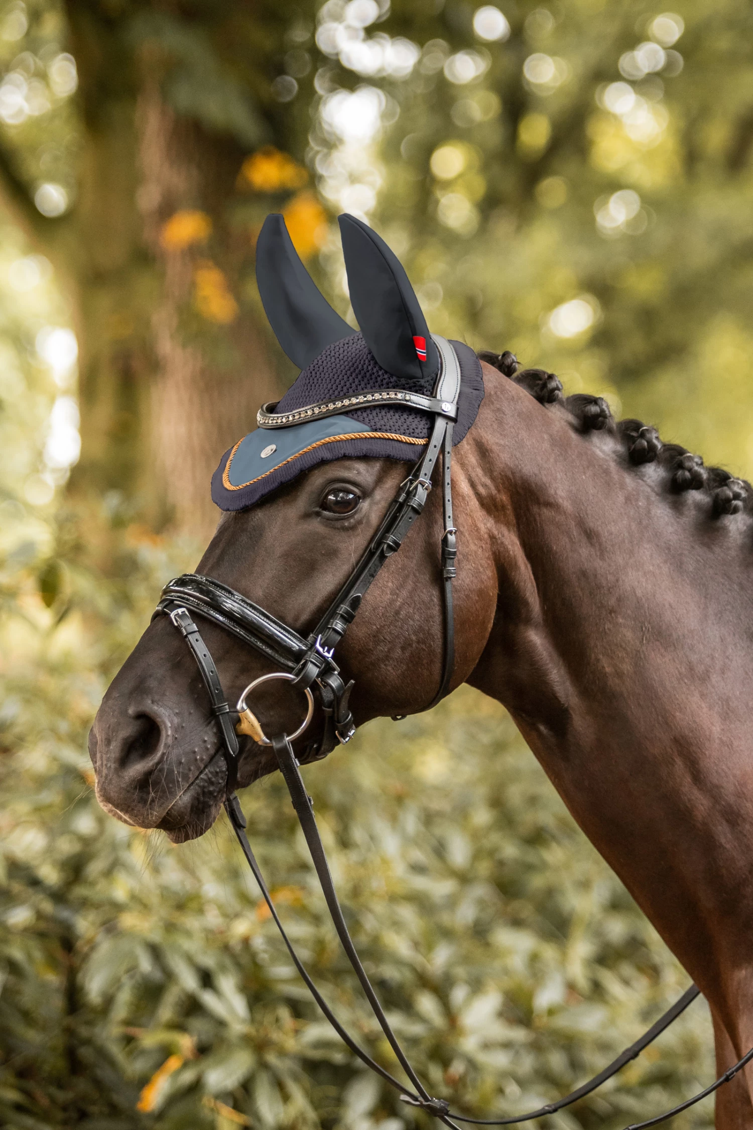 B Vertigo Quinn Fliegenhaube 9 B Vertigo Quinn Fliegenhaube – Bild 7