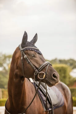 Horze Victoria Fliegenhaube 11 Horze Victoria Fliegenhaube -Weatherbeeta Shop 22940 ikb 02