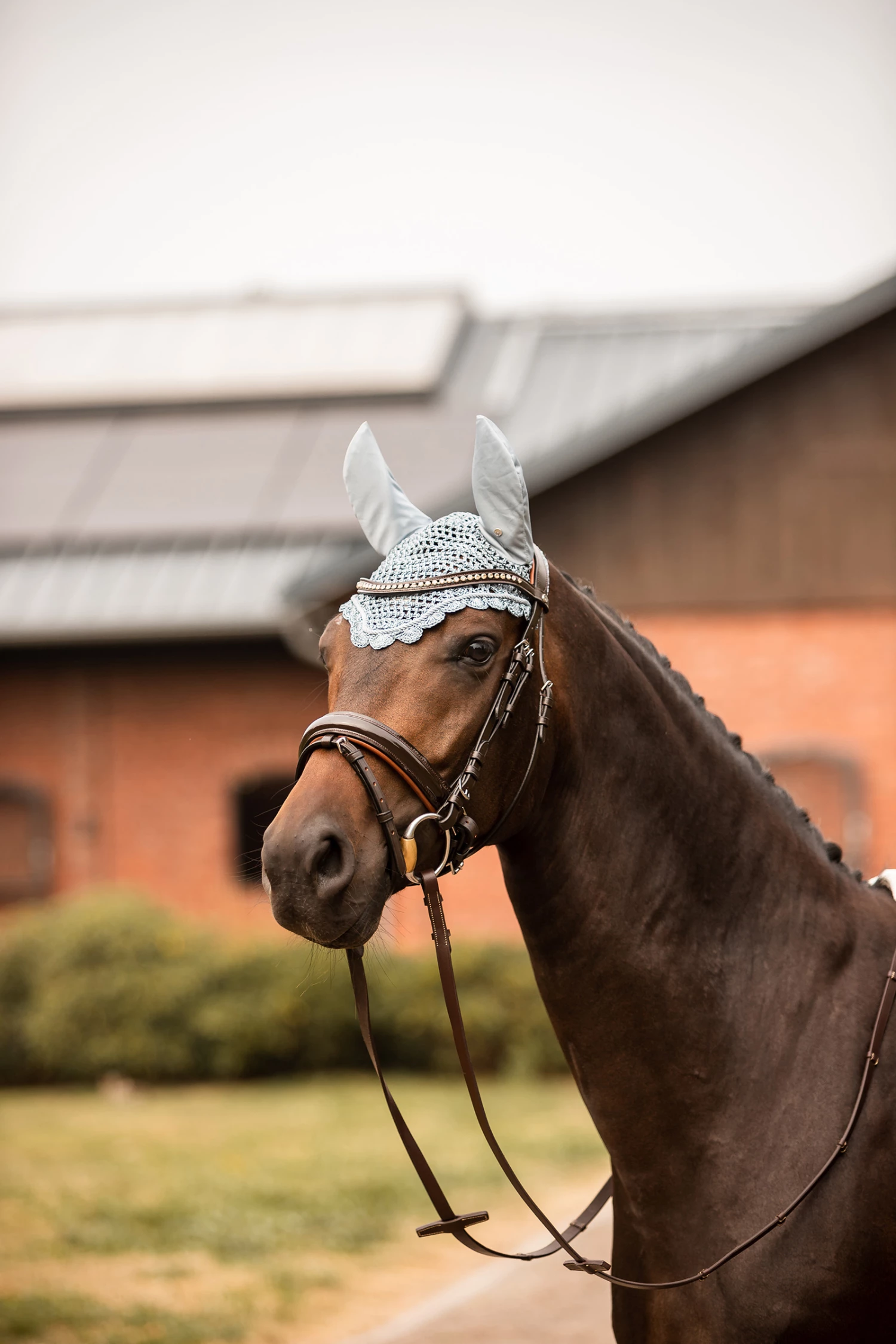 Horze Victoria Fliegenhaube 8 Horze Victoria Fliegenhaube – Bild 6