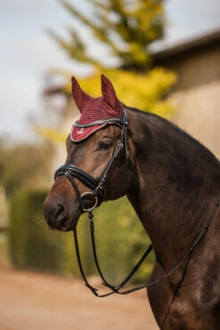 Horze Leighton Teens Collection Fliegenhaube 10 Horze Leighton Teens Collection Fliegenhaube -Weatherbeeta Shop 22942 rrbr 03