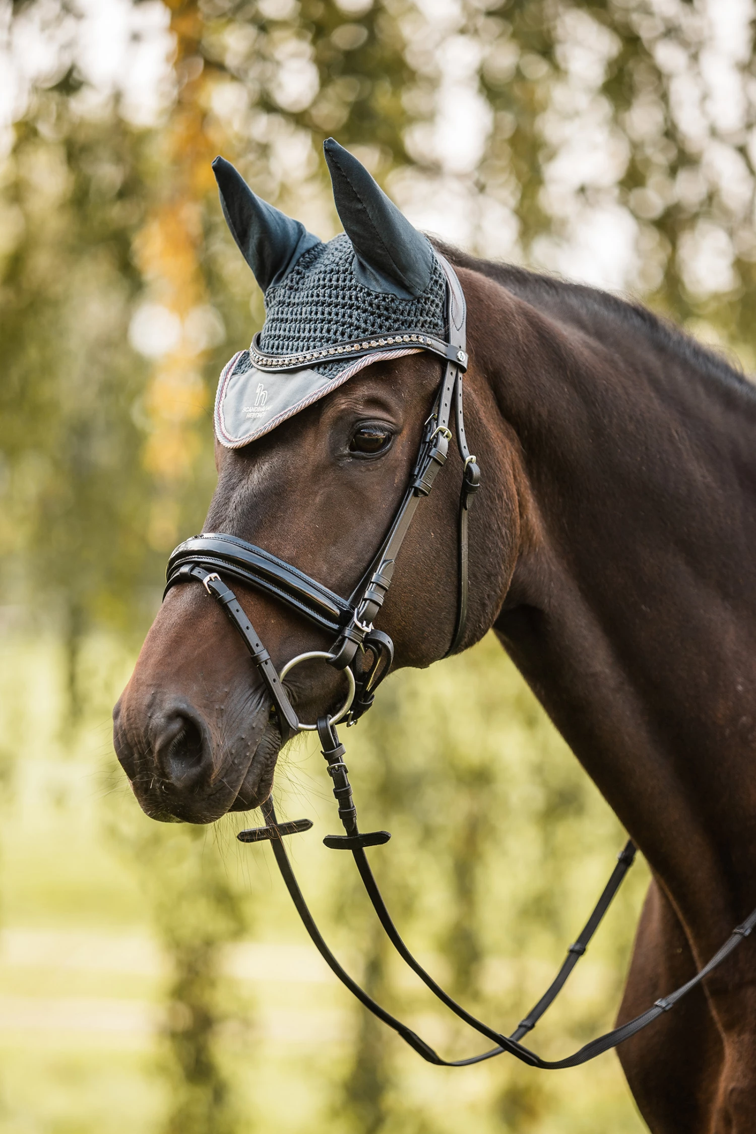 Horze Leighton Teens Collection Fliegenhaube 8 Horze Leighton Teens Collection Fliegenhaube – Bild 6