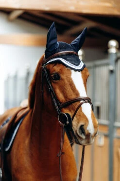 B Vertigo Cameron Fliegenhaube 19 B Vertigo Cameron Fliegenhaube -Weatherbeeta Shop 22944 VDB 3