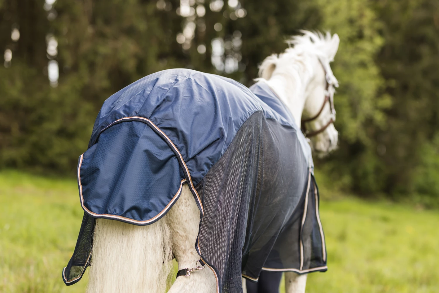 Horze Nevada Leichte Woll- & Meshdecke 15 Horze Nevada Leichte Woll- & Meshdecke – Bild 13