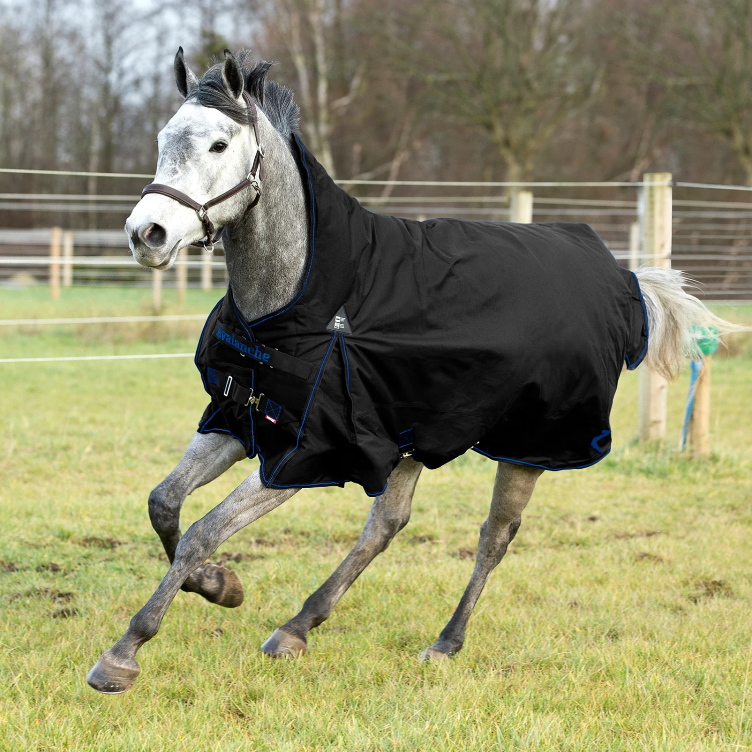 Horze Avalanche Regendecke Mit Hohem Hals, 150g 5 Horze Avalanche Regendecke Mit Hohem Hals, 150g – Bild 3