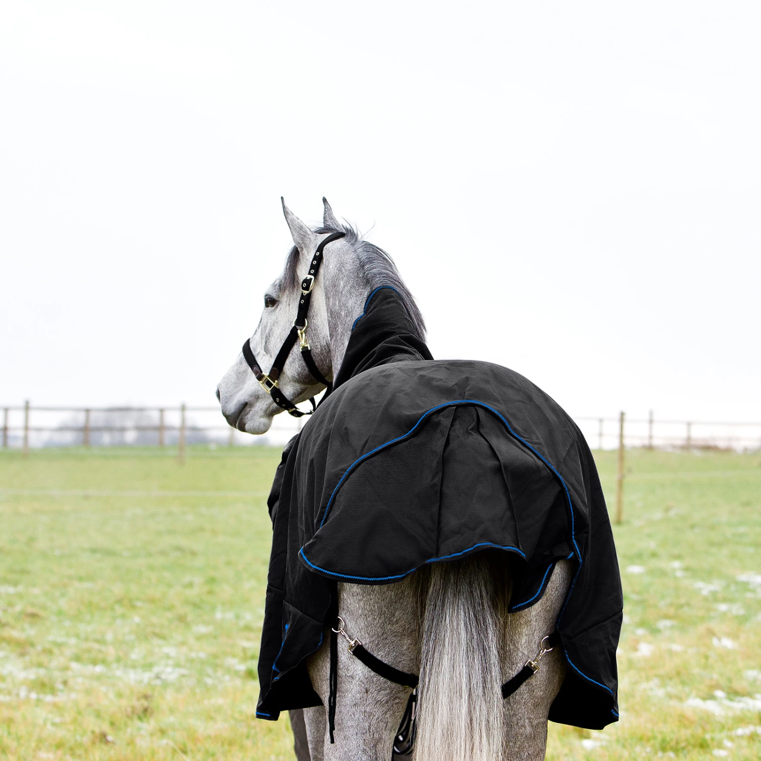 Horze Avalanche Regendecke Mit Hohem Hals, 150g 7 Horze Avalanche Regendecke Mit Hohem Hals, 150g – Bild 5