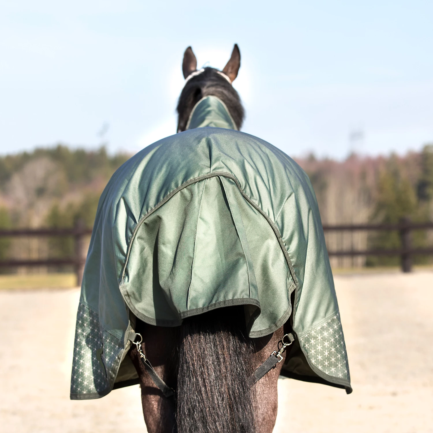 Horze Avalanche Regendecke Mit Hohem Hals, 150g 17 Horze Avalanche Regendecke Mit Hohem Hals, 150g – Bild 15