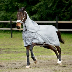 Horze Nevada 600D Regendecke, 0g 20 Horze Nevada 600D Regendecke, 0g -Weatherbeeta Shop 24056 LRG 2