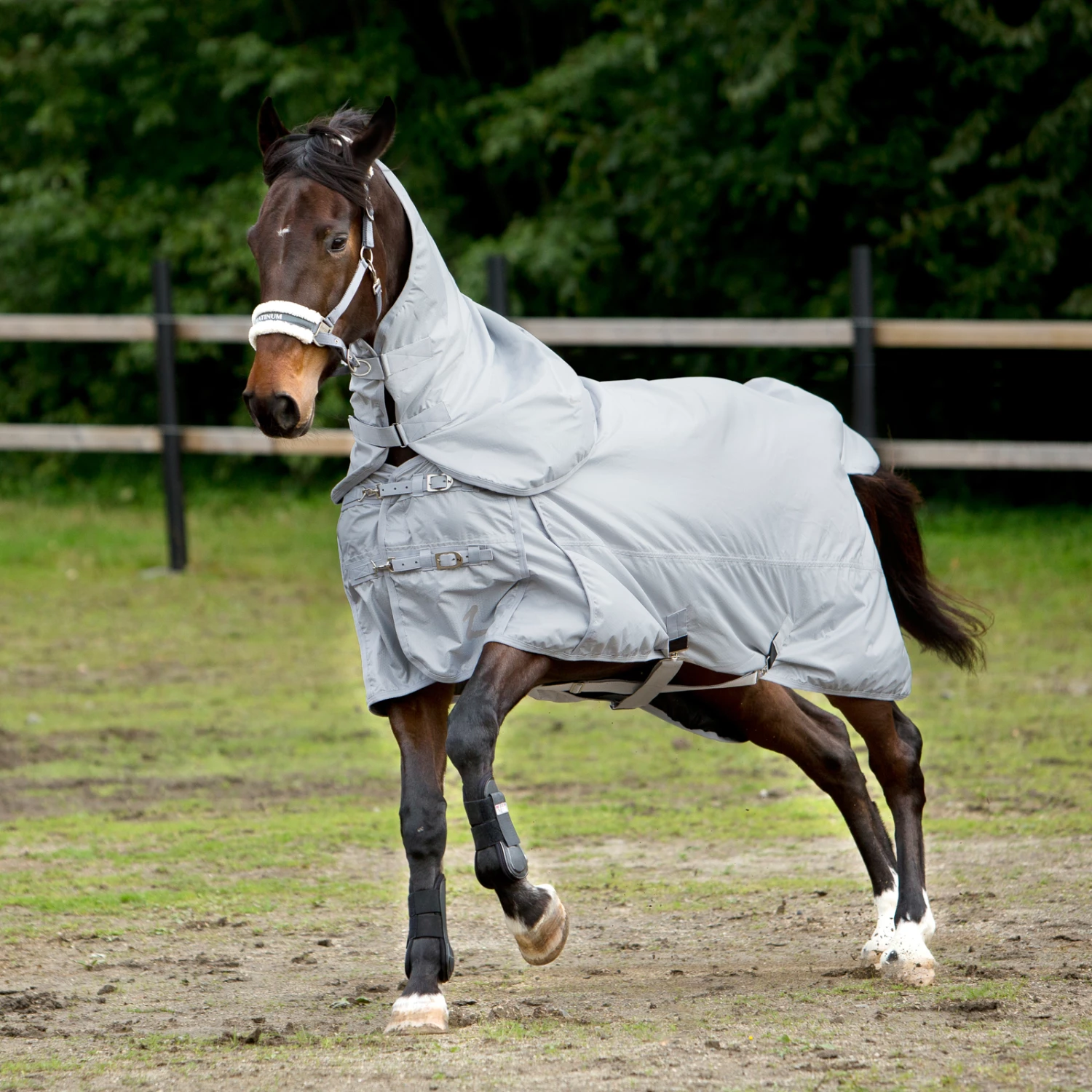 Horze Nevada 600D Regendecke, 0g 9 Horze Nevada 600D Regendecke, 0g – Bild 7