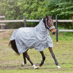 Horze Nevada 600D Regendecke, 0g 21 Horze Nevada 600D Regendecke, 0g -Weatherbeeta Shop 24056 LRG 3