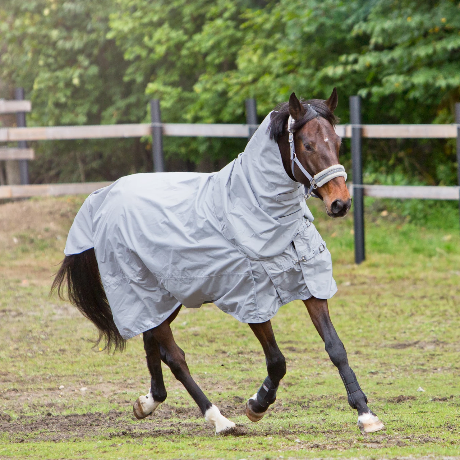 Horze Nevada 600D Regendecke, 0g 10 Horze Nevada 600D Regendecke, 0g – Bild 8