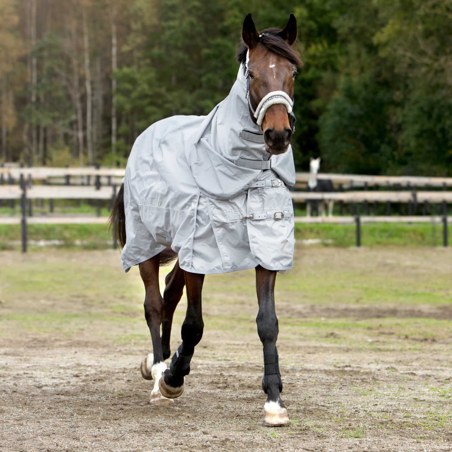 Horze Nevada 600D Regendecke, 0g 11 Horze Nevada 600D Regendecke, 0g – Bild 9