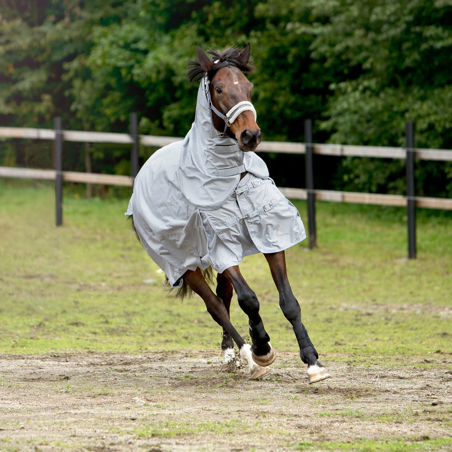 Horze Nevada 600D Regendecke, 0g 12 Horze Nevada 600D Regendecke, 0g – Bild 10