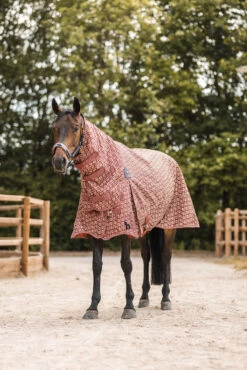 Horze Avalanche Weidedecke Mit Festem Halsteil, 150g -Weatherbeeta Shop 24089 281 07