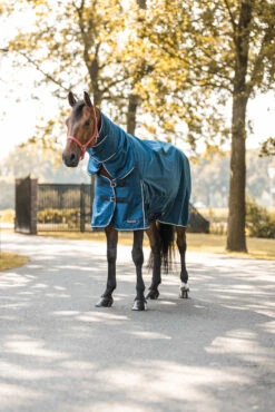 Horze Glasgow Regendecke Mit Halsteil, 150g 26 Horze Glasgow Regendecke Mit Halsteil, 150g -Weatherbeeta Shop 24109 559 06