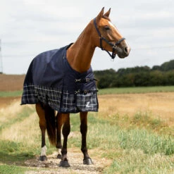 Horze Nevada 1200D Regendecke,100g 16 Horze Nevada 1200D Regendecke,100g -Weatherbeeta Shop 24128 PDB LDGR 1