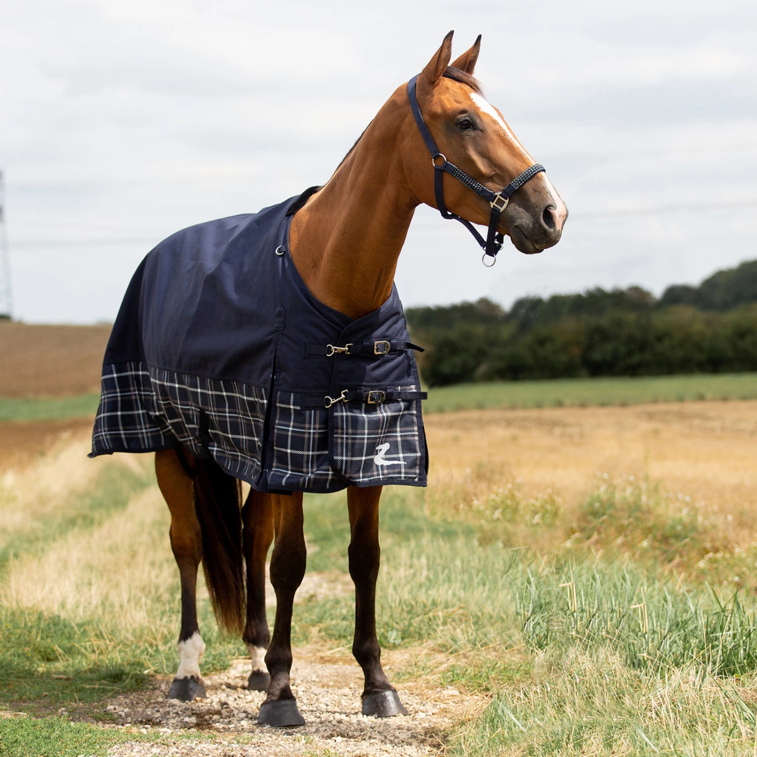 Horze Nevada 1200D Regendecke,100g 6 Horze Nevada 1200D Regendecke,100g – Bild 4