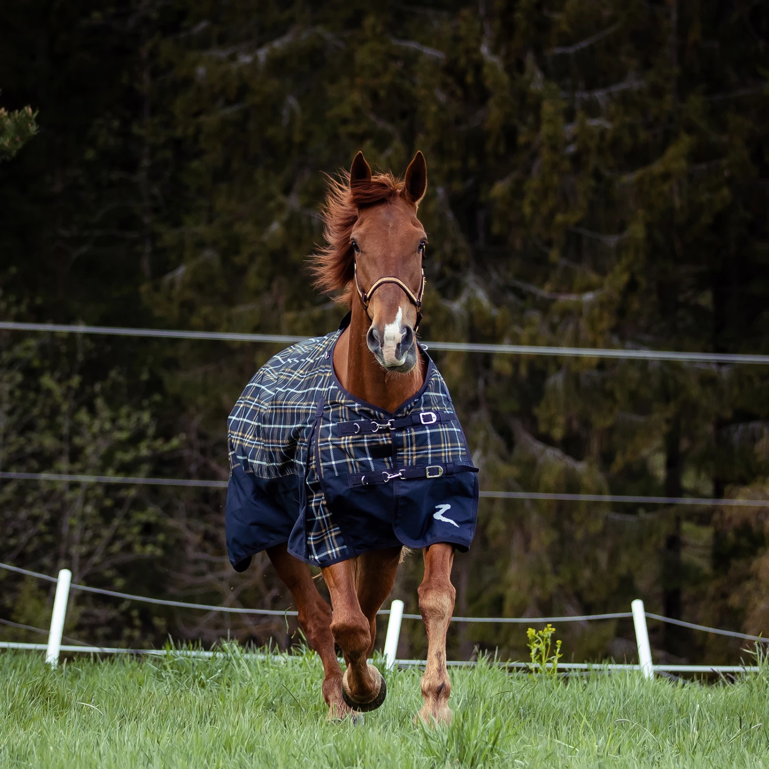 Horze Nevada 1200D Regendecke,100g 13 Horze Nevada 1200D Regendecke,100g – Bild 11