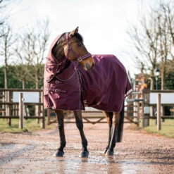 B Vertigo Georgina Weidedecke Mit Abnehmbarem Halsteil, 250g 30 B Vertigo Georgina Weidedecke Mit Abnehmbarem Halsteil, 250g -Weatherbeeta Shop 24133 WDRE 3