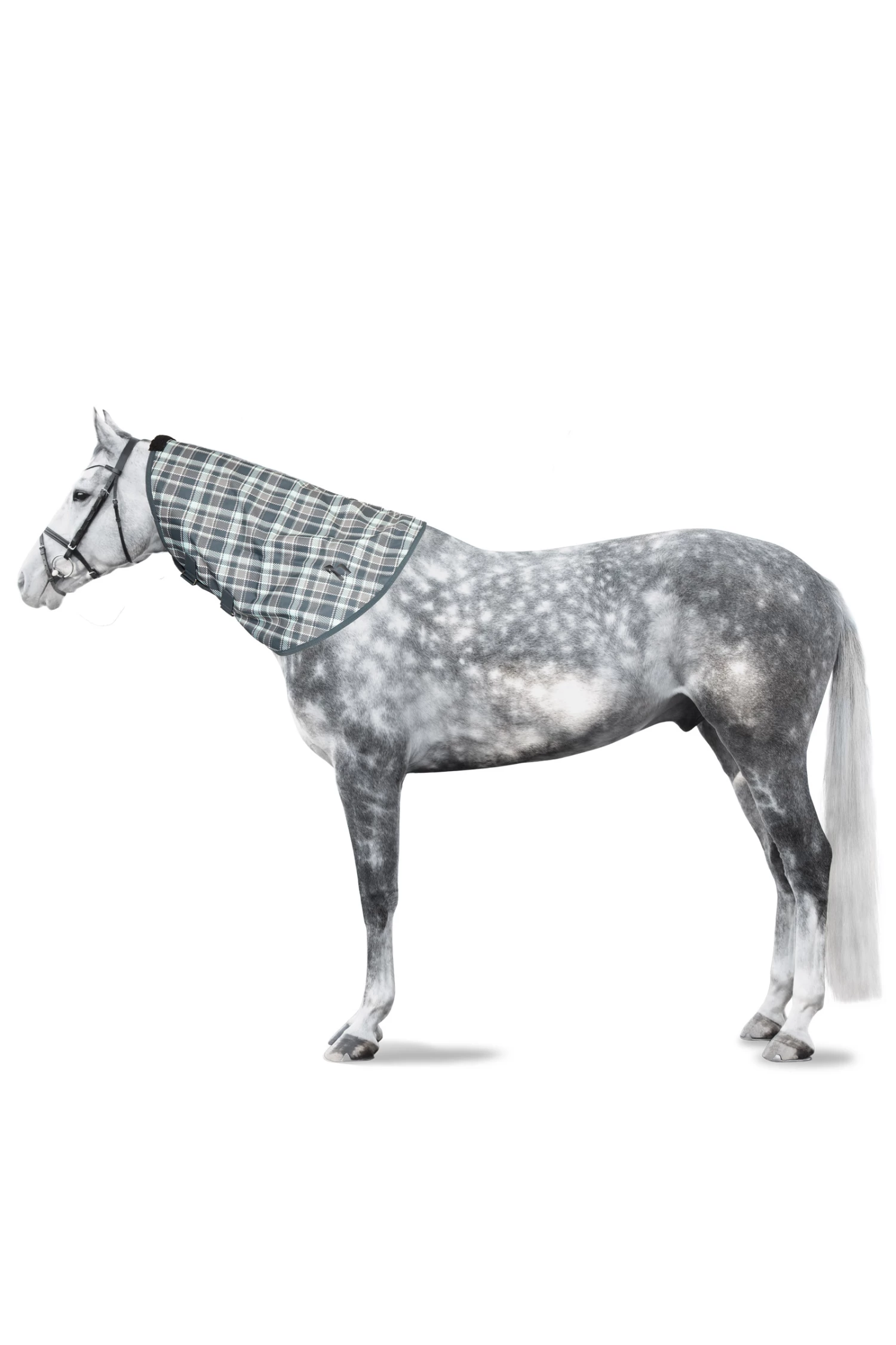 Horze Nevada Halsteil Für Regendecke, 200g 8 Horze Nevada Halsteil Für Regendecke, 200g – Bild 6