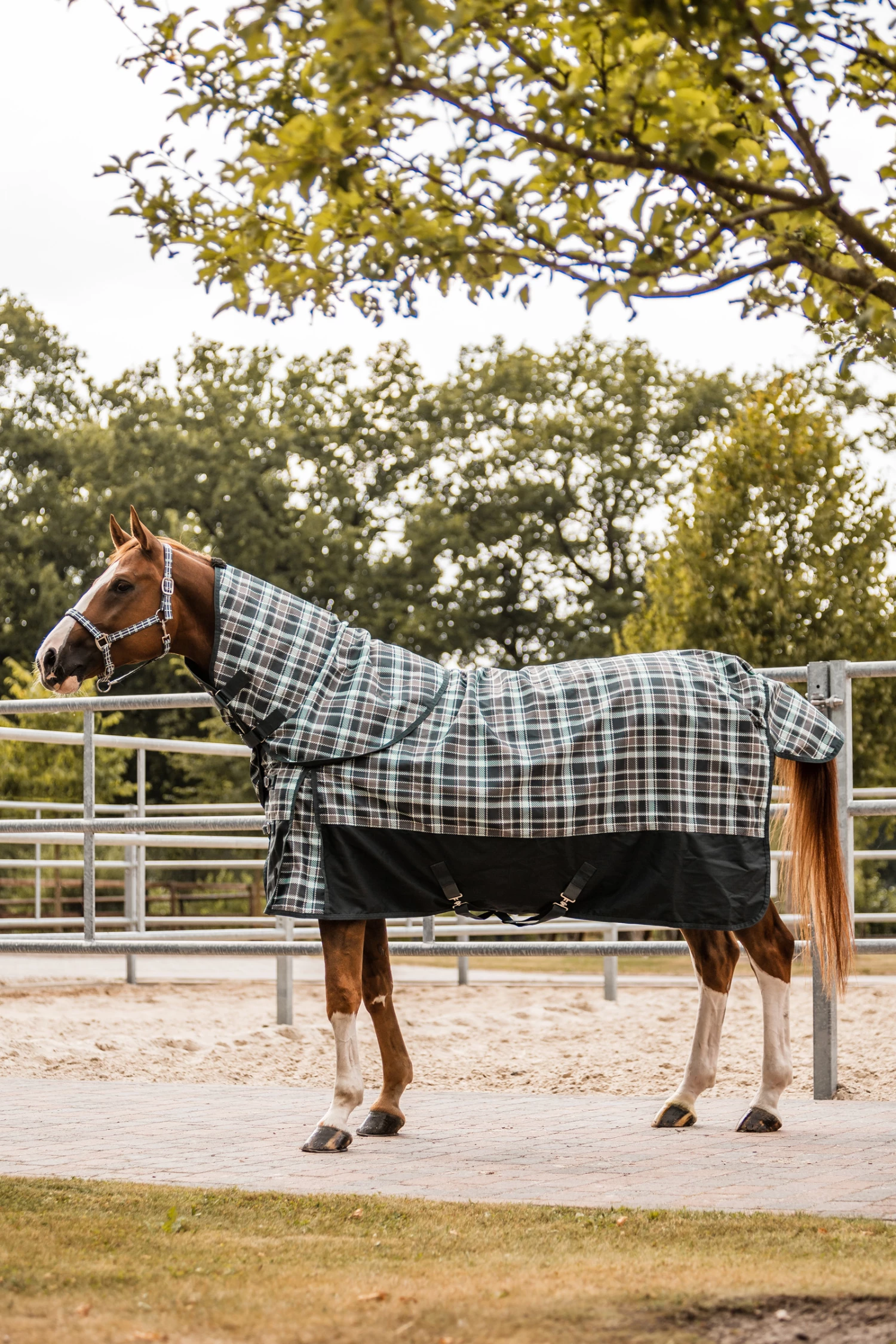 Horze Nevada Halsteil Für Regendecke, 200g 11 Horze Nevada Halsteil Für Regendecke, 200g – Bild 9