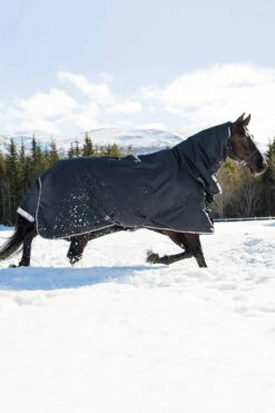 B Vertigo Georgina Winterdecke Mit Halsteil 400g -Weatherbeeta Shop 24157 VDB 03