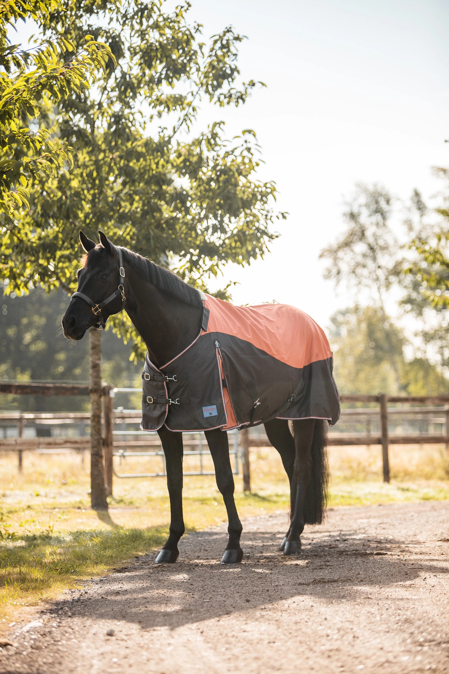 Horze Lucerne Regendecke Mit Fleecefutter 6 Horze Lucerne Regendecke Mit Fleecefutter – Bild 4