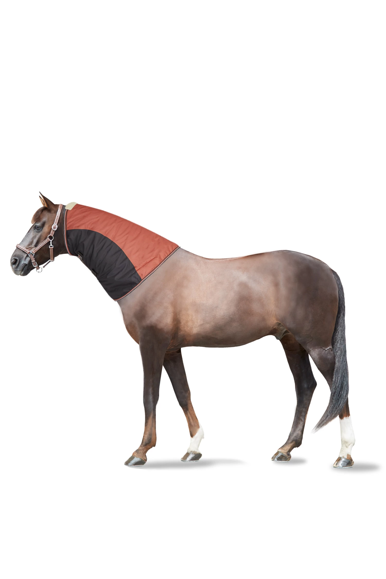 Horze Lucerne Halsteil, 250g 3 Horze Lucerne Halsteil, 250g