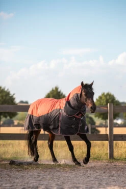 Horze Lucerne Halsteil, 250g 9 Horze Lucerne Halsteil, 250g -Weatherbeeta Shop 24199 237 04