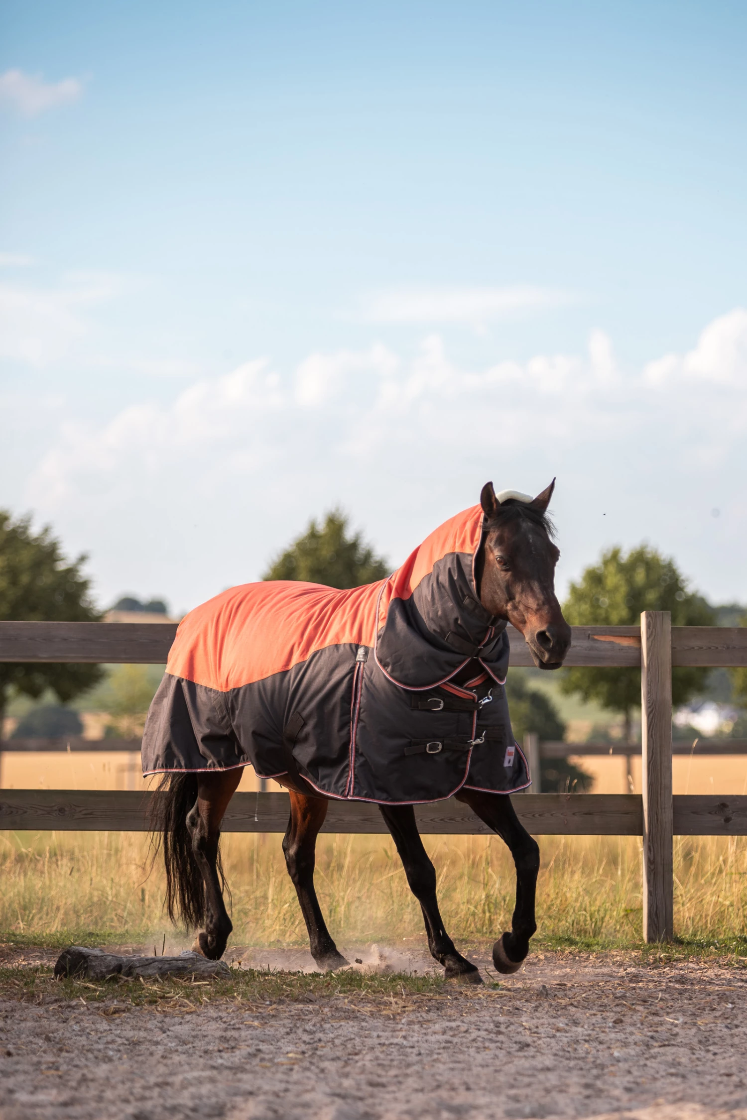 Horze Lucerne Halsteil, 250g 6 Horze Lucerne Halsteil, 250g – Bild 4