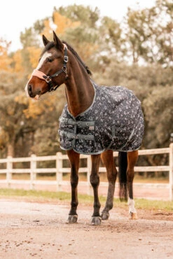 Horze Trixi Pony Weidedecke -Weatherbeeta Shop 24201 590 06