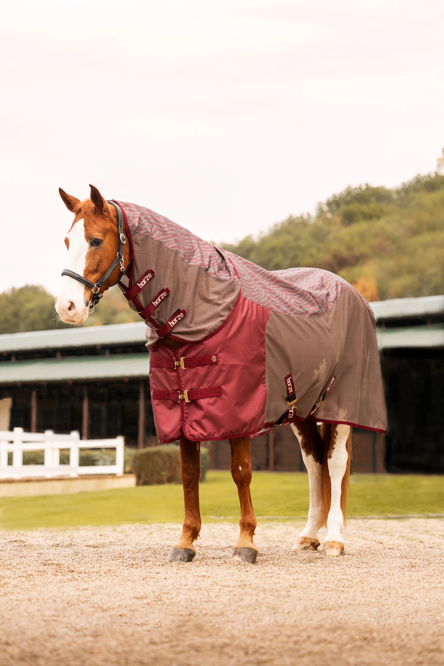 Horze Kenya Leichte Mesh Weidedecke Mit Abnehmbarem Halsteil 9 Horze Kenya Leichte Mesh Weidedecke Mit Abnehmbarem Halsteil – Bild 7