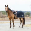 B Vertigo Concord Trainingsdecke -Weatherbeeta Shop 24328 VDB 1