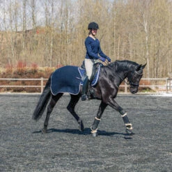 B Vertigo Concord Trainingsdecke -Weatherbeeta Shop 24328 VDB 3