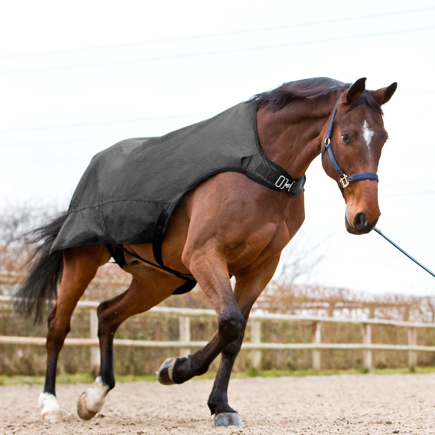 Horze Nevada Führanlagendecke, 200g 5 Horze Nevada Führanlagendecke, 200g – Bild 3