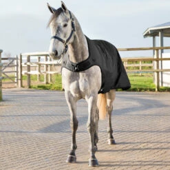 Horze Nevada Führanlagendecke, 200g 11 Horze Nevada Führanlagendecke, 200g -Weatherbeeta Shop 24331 BL 4