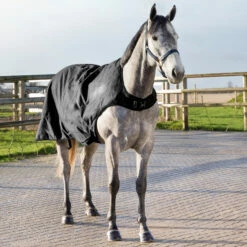 Horze Nevada Führanlagendecke, 200g 12 Horze Nevada Führanlagendecke, 200g -Weatherbeeta Shop 24331 BL 5