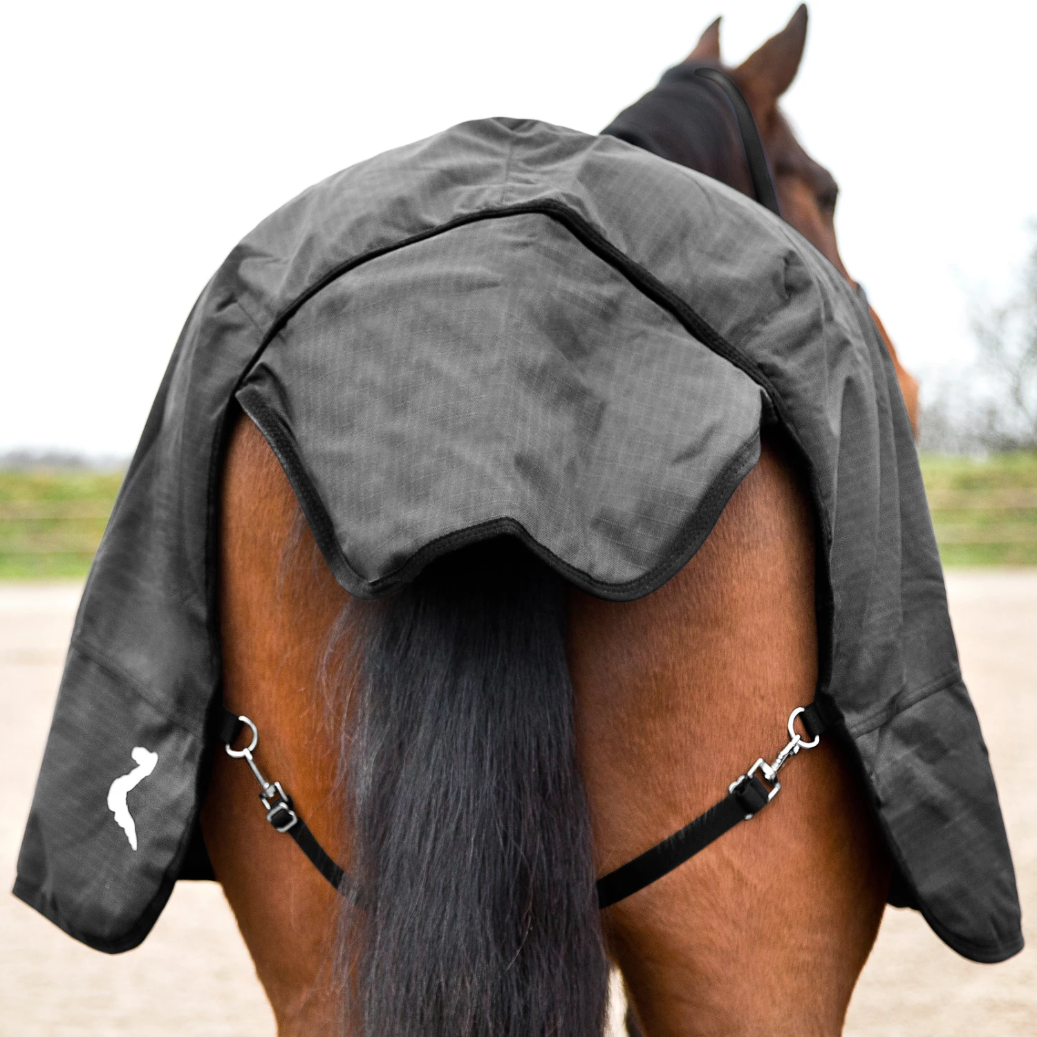 Horze Nevada Führanlagendecke, 200g 8 Horze Nevada Führanlagendecke, 200g – Bild 6